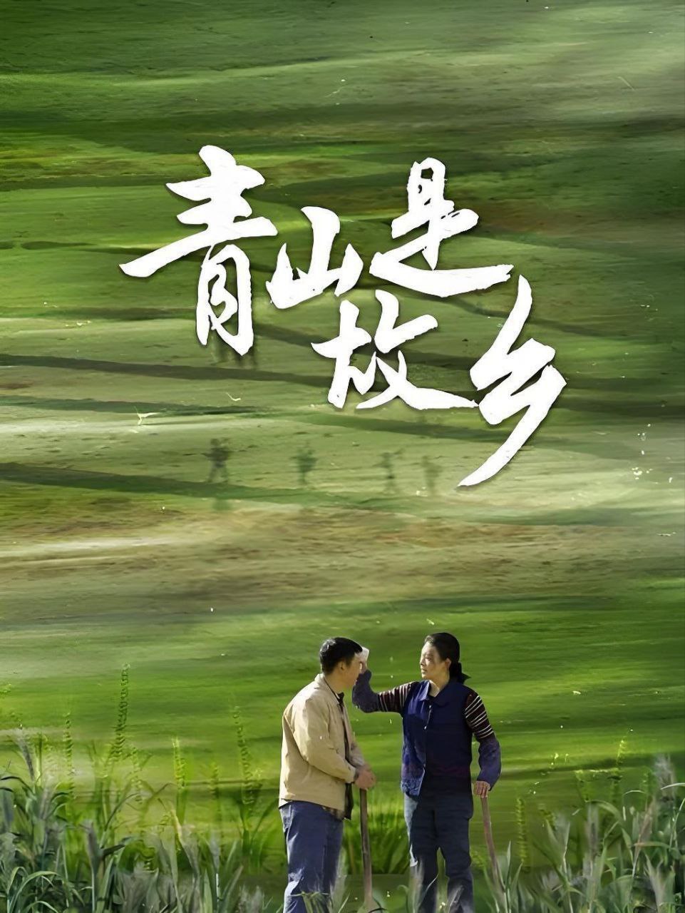 青山是故乡 (2025) 4K 臻彩MAX 60FPS 杜比音效 更新14集 3 photo 2025 04 10 00 56 05