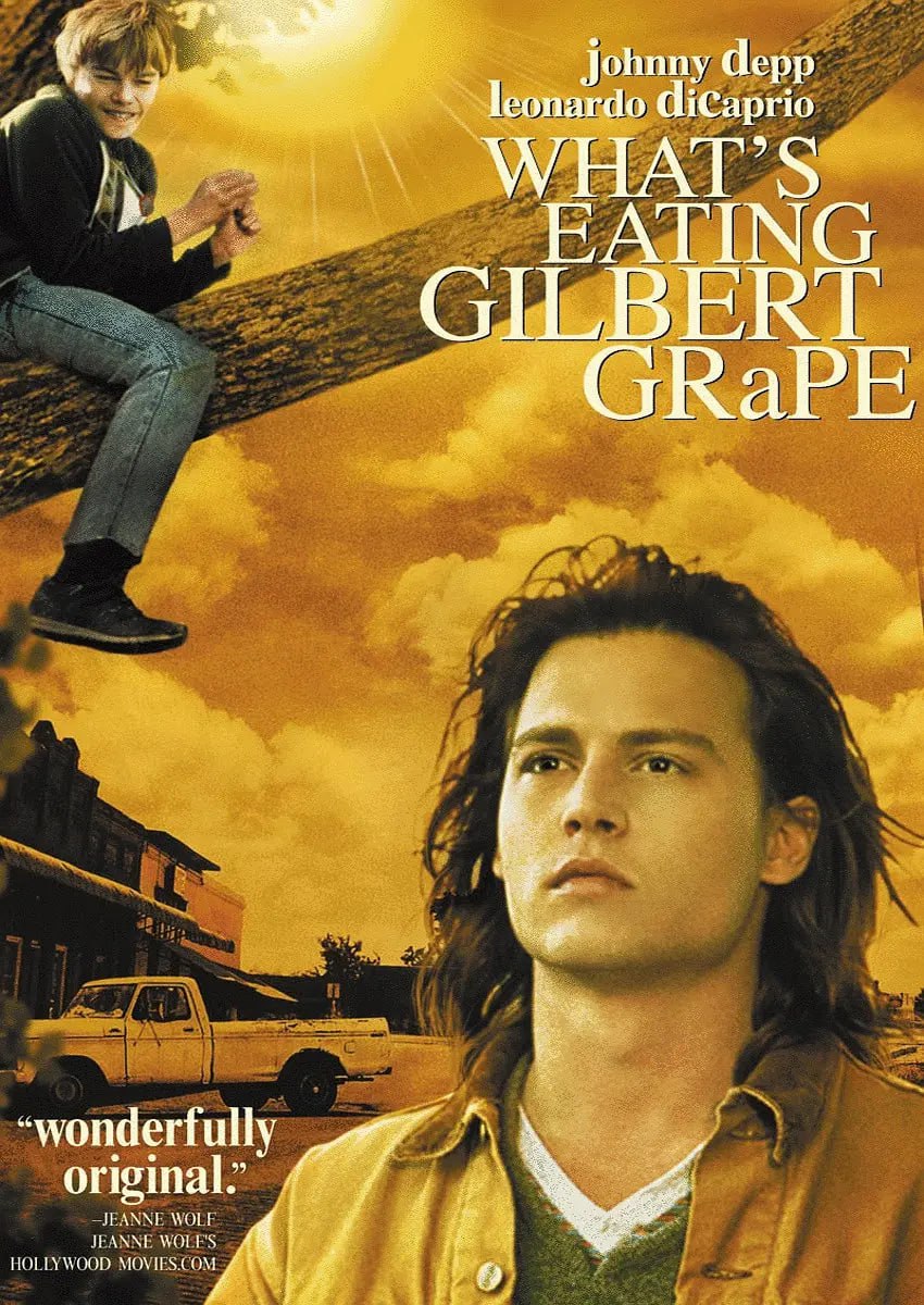 不一样的天空 What's Eating Gilbert Grape (1993) 1 photo 2025 04 14 21 40 04