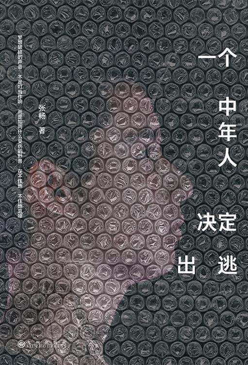 一个中年人决定出逃 3 photo 2025 05 06 21 40 23