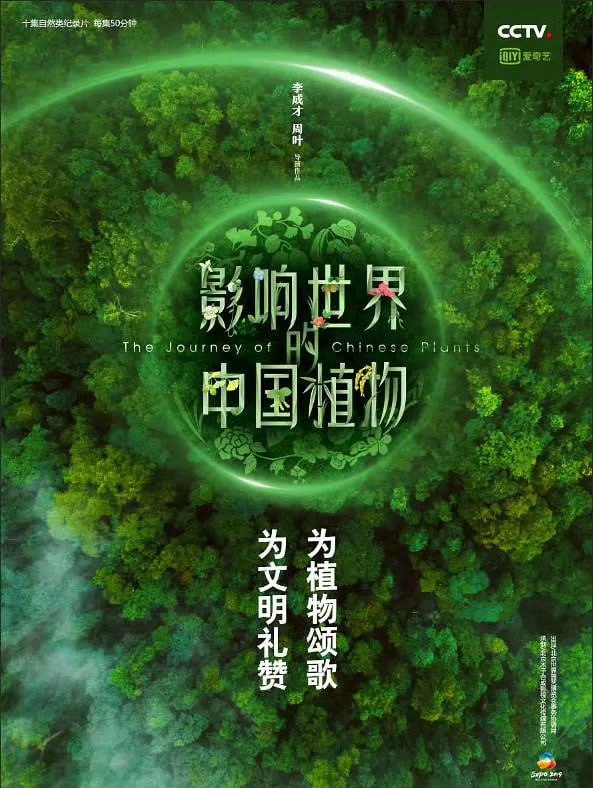 photo 2025 05 07 21 10 05