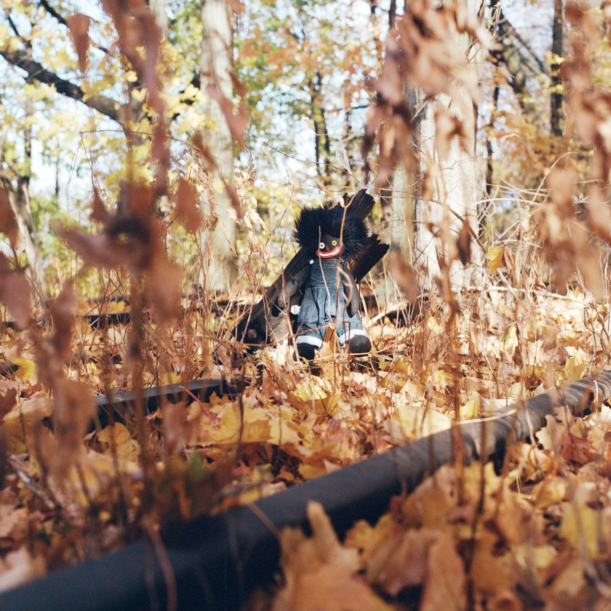 Billy Woods GOLLIWOG 2025 FLAC 1 photo 2025 05 14 08 10 04
