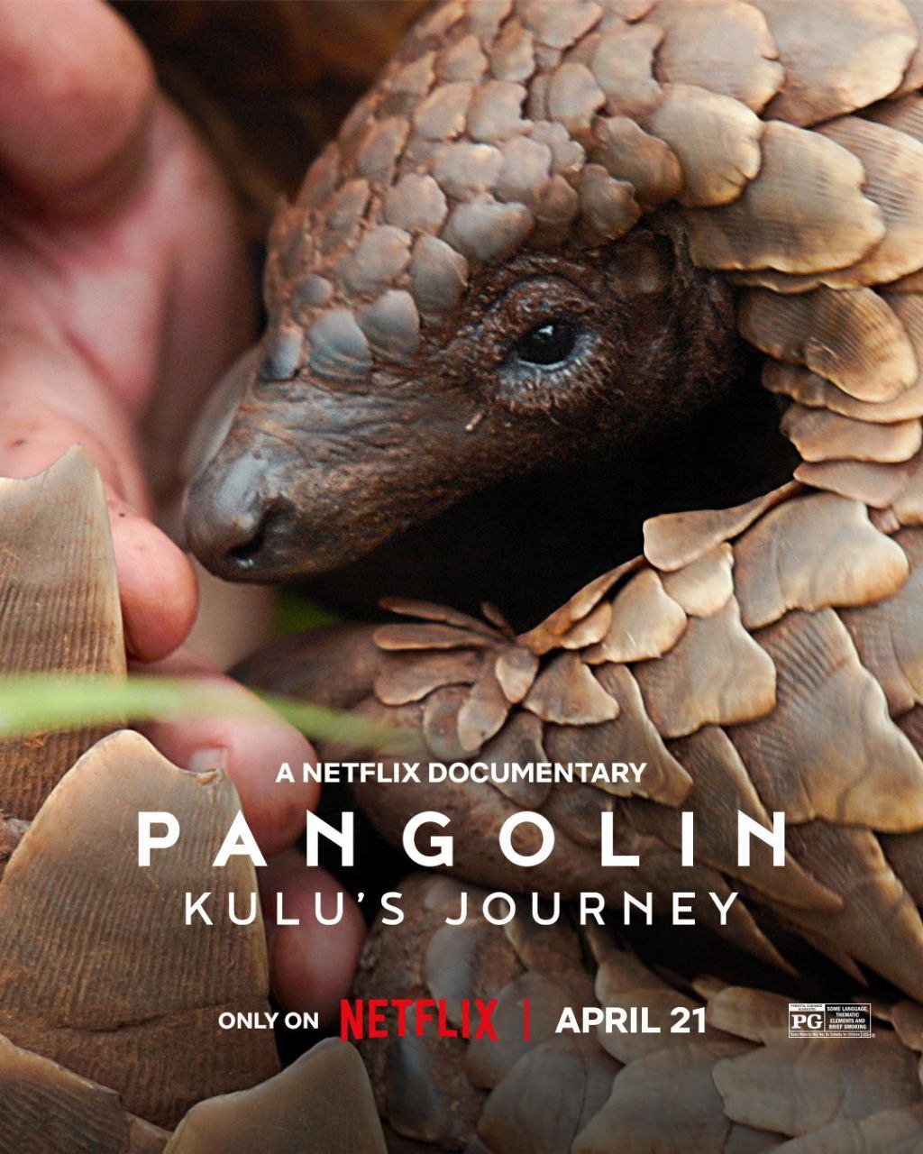 穿山甲Kulu的旅程 (2025)【Netflix.4K.HDR.高码率】【杜比全景声】【简繁英字幕】【纪录片】 3 photo 2025 05 14 10 20 14