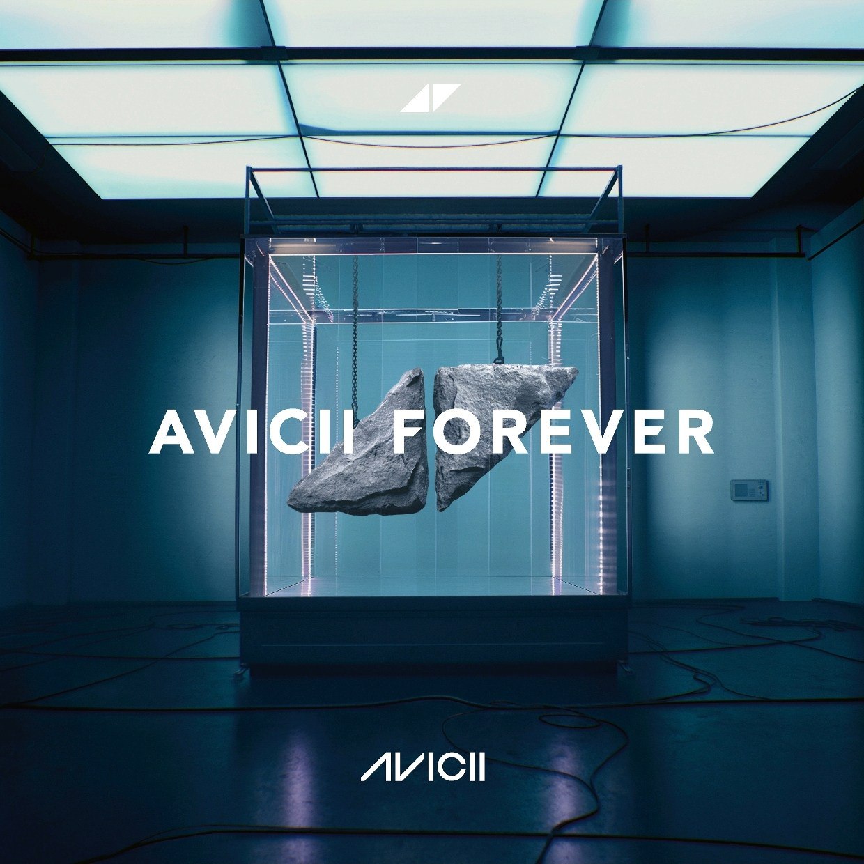 Avicii - Avicii Forever (2025) ALAC 1 photo 2025 05 16 15 50 15