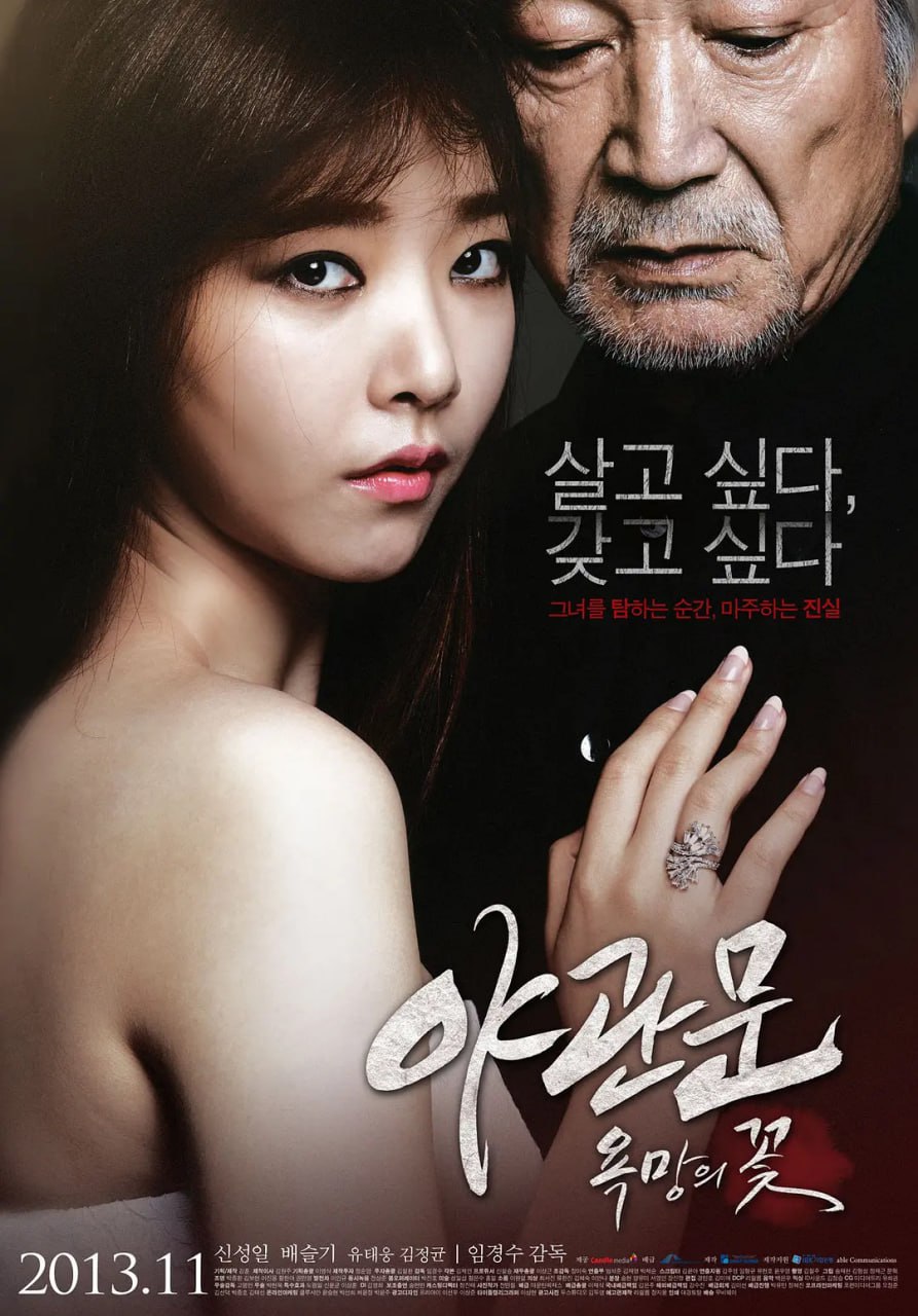 夜关门:欲望之花 야관문 : 욕망의 꽃 (2013) 1 photo 2025 05 26 22 00 08