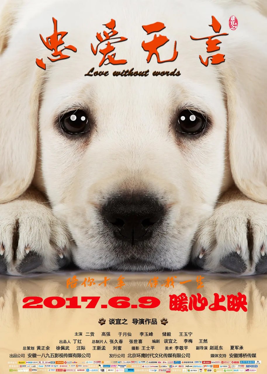 忠爱无言 (2017) 1 photo 2025 06 06 21 20 23