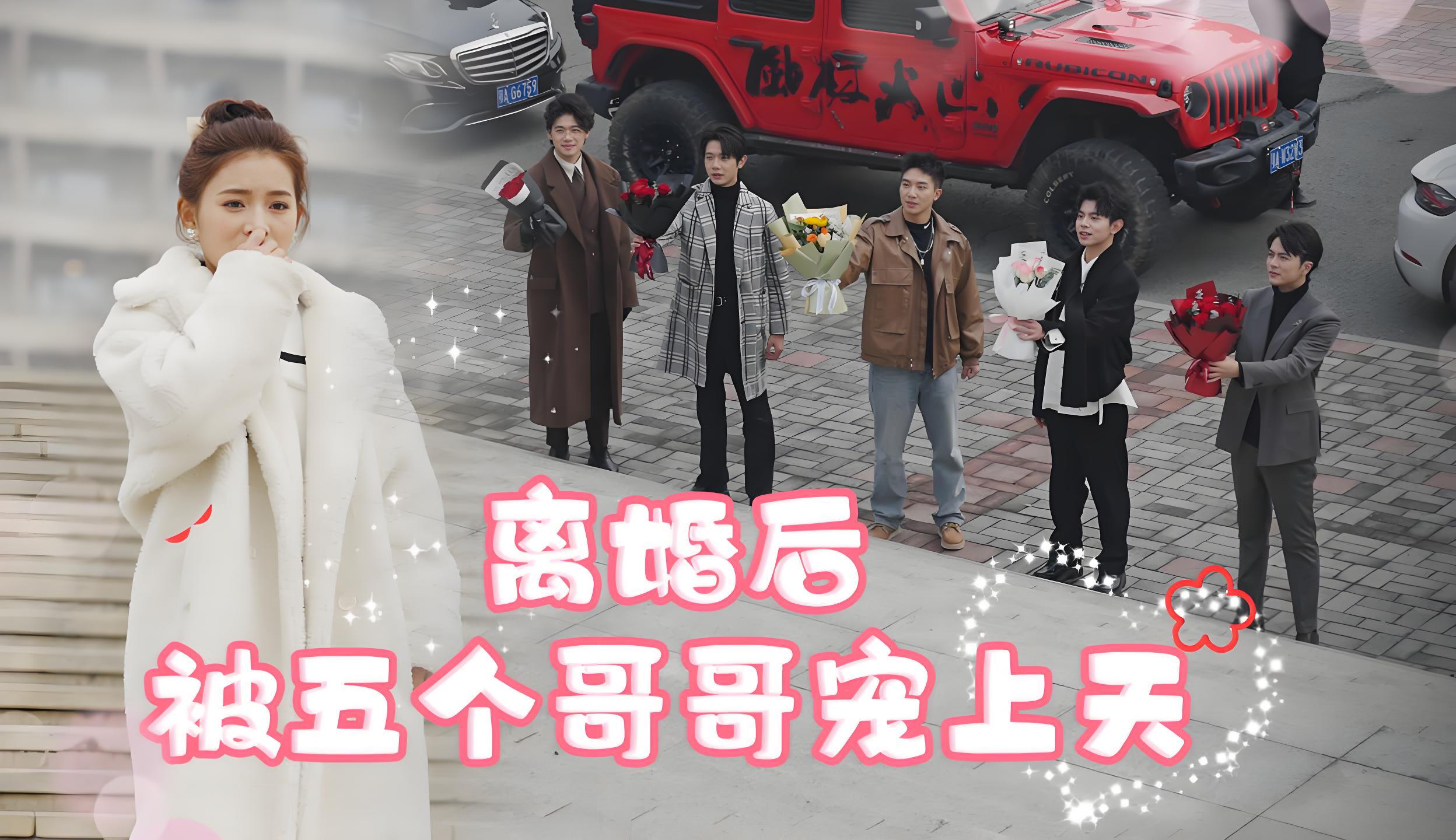 离婚后被五个哥哥宠上天  (81集) | 短剧