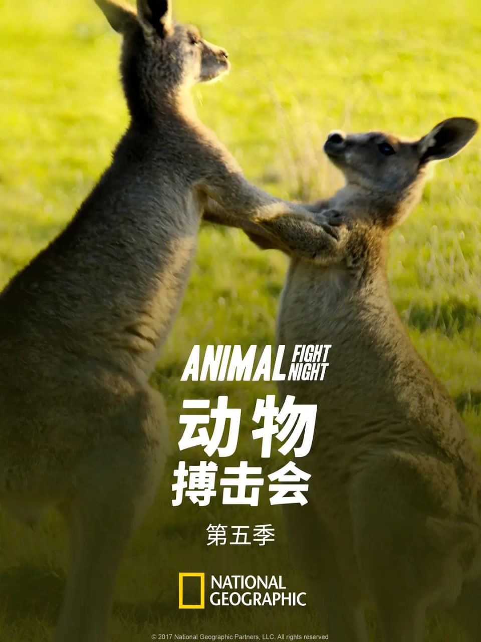 photo 2025 06 23 17 40 13