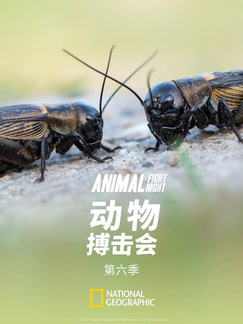 photo 2025 06 25 15 30 11