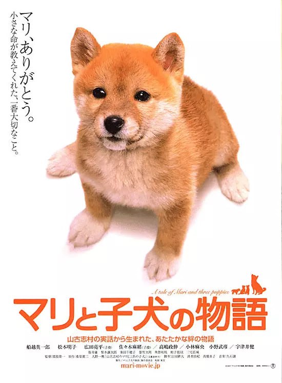 爱犬的奇迹 マリと子犬の物語 (2007) 1 photo 2025 06 26 17 10 03