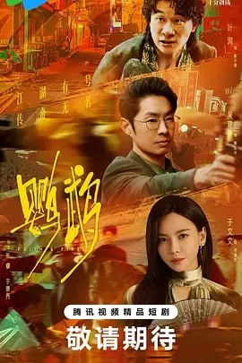 鹦鹉 2025 更新至13集 犯罪 悬疑 1 photo 2025 06 29 19 20 21
