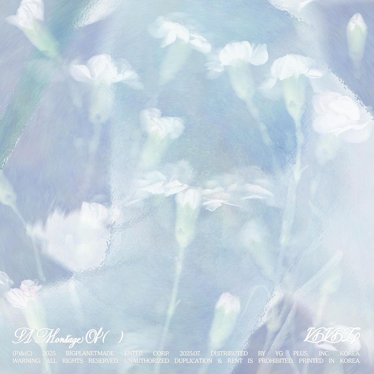 【16bit 44.1kHZ Flac】VIVIZ - The 1st Album 'A Montage of ( )' 1 photo 2025 07 08 18 00 17