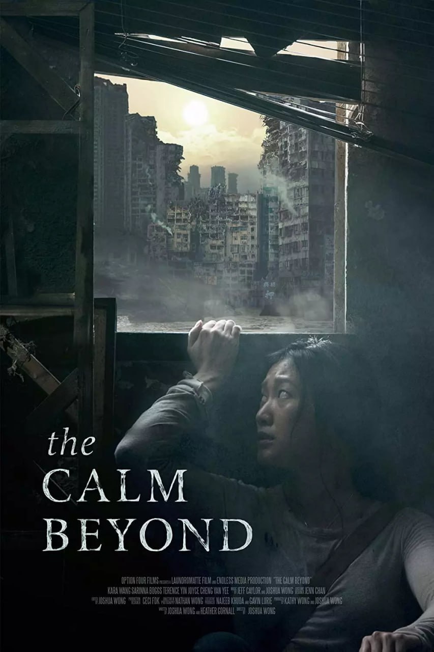 平静之外 The Calm Beyond (2020) 1 photo 2025 07 11 21 40 03