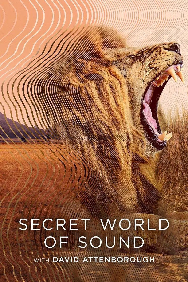 大卫·艾登堡:大自然的声音 Secret World of Sound with David Attenborough (2024) 3 photo 2025 07 12 15 40 03