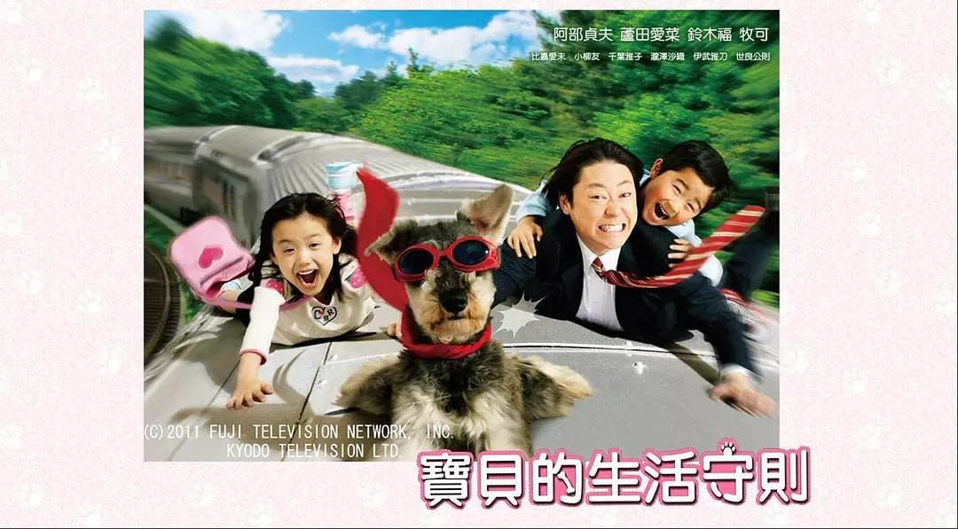 高护木的规矩 マルモのおきて (2011) 1 photo 2025 07 14 10 30 14
