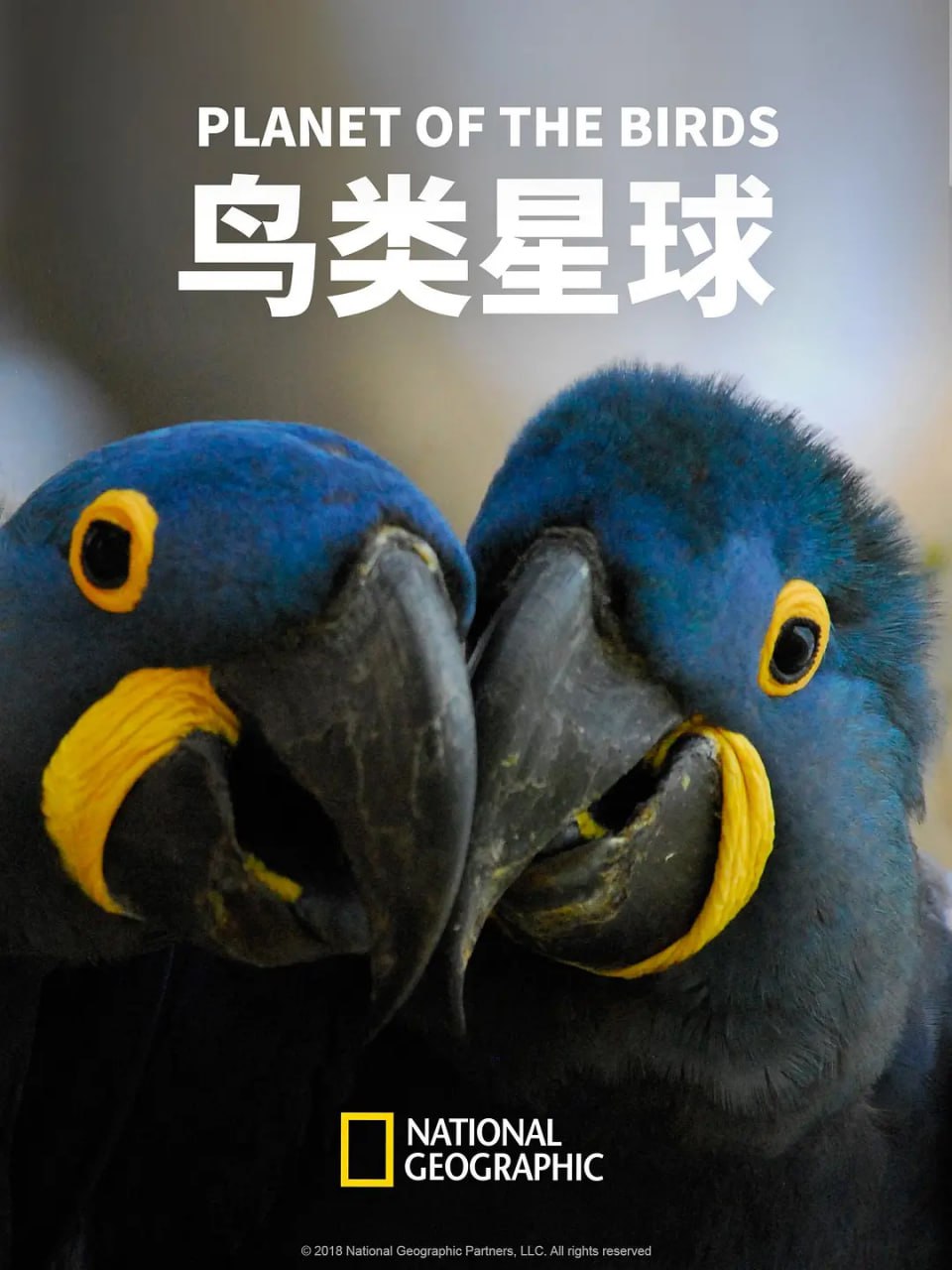 photo 2025 07 18 11 40 20
