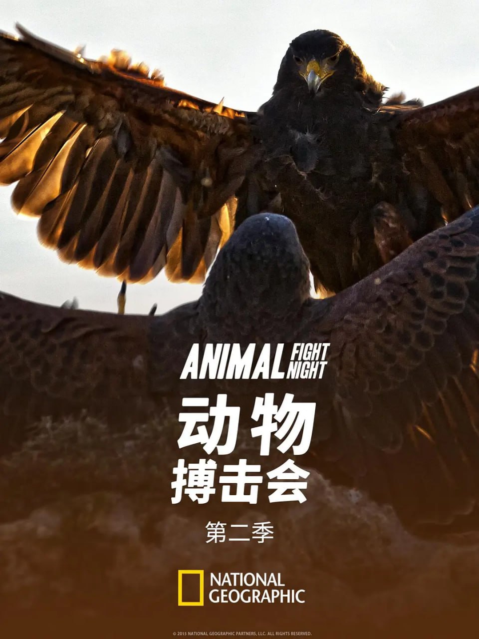 photo 2025 07 23 02 50 04